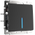 WL08-SW-1G-LED/Выключатель одноклавишный  с подсветкой (черный матовый) фото