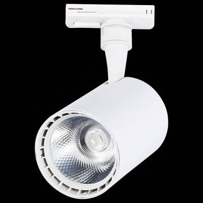 Светильник на штанге ST-Luce Cami ST351.546.20.36 фото
