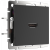 WL08-60-11/ Розетка HDMI (черный матовый) фото