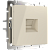 WL03-RJ-45-ivory /Розетка Ethernet RJ-45  (слоновая кость) фото