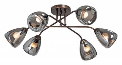 Потолочная люстра Vitaluce  V4955-7/6PL фото