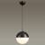 Подвесной светильник Odeon Light Pinga 4958/1A фото
