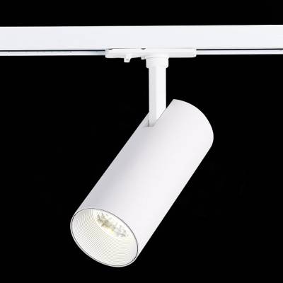Светильник на штанге ST-Luce Mono ST350.536.20.36 фото
