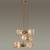 Подвесной светильник Odeon Light Elica 5402/6 в EL DECO Подвесной светильник Odeon Light Elica 5402/6 фото