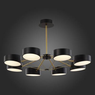 Люстра на штанге EVOLUCE Valle SLE6005-402-08 фото