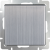 WL02-SW-1G / Выключатель одноклавишный (глянцевый никель) фото