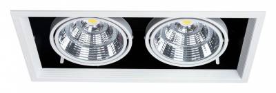 Встраиваемый светильник Arte Lamp Merga A8450PL-2WH фото