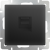 WL08-RJ-45/ Розетка Ethernet RJ-45 (черный матовый) фото