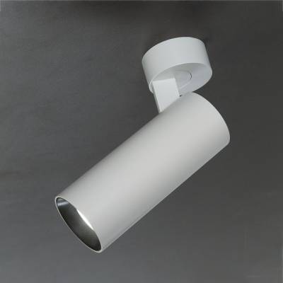 Спот Citilux Тубус CL01B120N фото