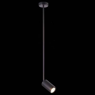 Светильник на штанге ST-Luce Sormano SL1206.403.01 фото