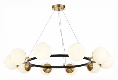 Подвесная люстра EVOLUCE Forli SLE220403-10 фото