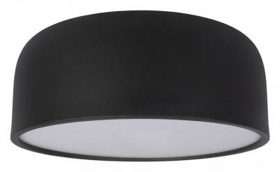 Накладной светильник Loft it Axel 10201/350 Black фото
