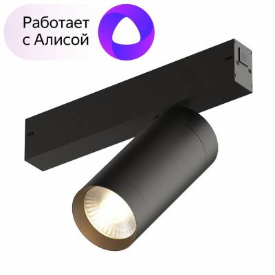 Светильник на штанге Denkirs Dk80 DK8020-BK фото