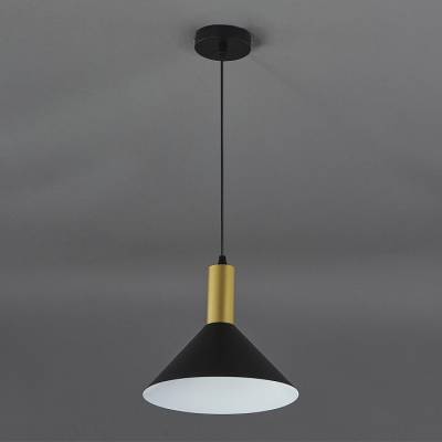 Подвесной светильник Escada Sagitta 1108/1S Black фото