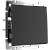 WL08-SW-1G/Выключатель одноклавишный  (черный матовый) фото