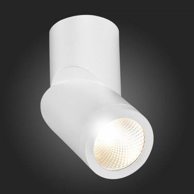 Светильник на штанге ST-Luce ST650 ST650.532.10 фото