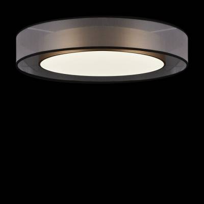 Накладной светильник Freya Zoticus FR6005CL-L48G фото