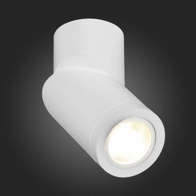 Светильник на штанге ST-Luce ST650 ST650.502.01 фото