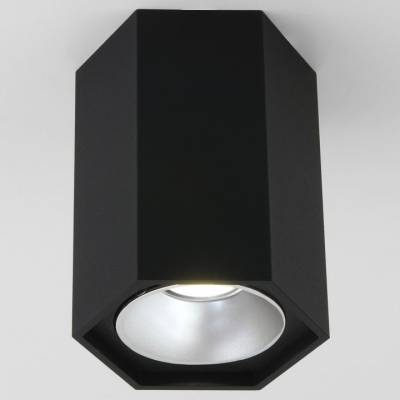 Накладной светильник Elektrostandard 25036/LED 25036/LED фото