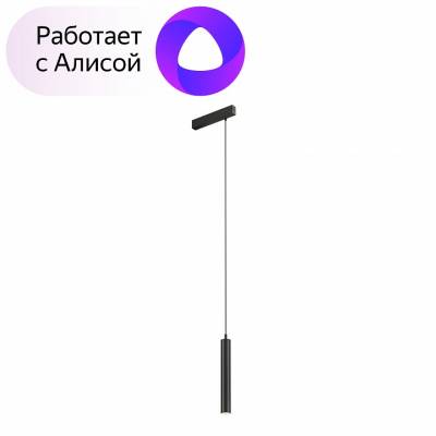 Подвесной светильник Denkirs DK8008 DK8008-BK фото