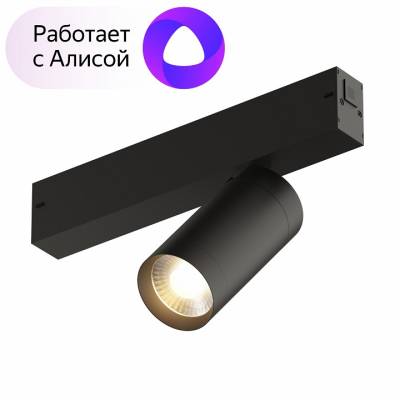 Светильник на штанге Denkirs Dk80 DK8010-BK фото
