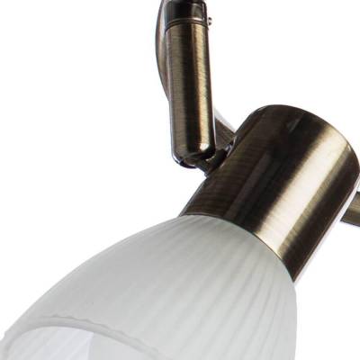 Спот Arte Lamp Parry A5062PL-3AB фото