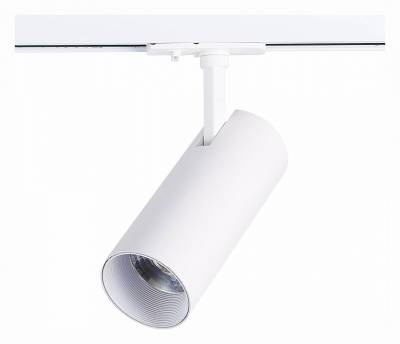 Светильник на штанге ST-Luce Mono ST350.546.20.36 фото