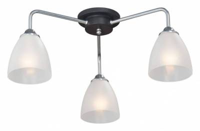 Потолочная люстра Vitaluce V4500 V4500-9/3PL фото