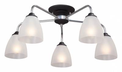 Потолочная люстра Vitaluce  V3946-1/5PL фото