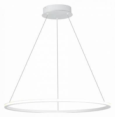 Подвесной светильник ST-Luce ST604 OUT ST604.543.34 фото