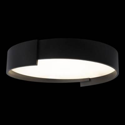 Накладной светильник Loft it Coin 10200 Black фото