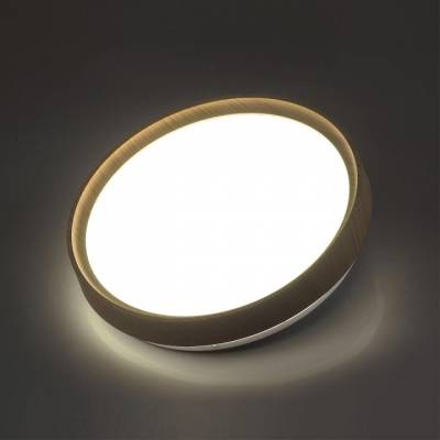 Накладной светильник Sonex Woodi 7603/CL фото