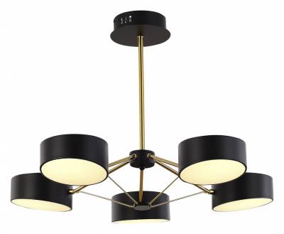 Люстра на штанге EVOLUCE Valle SLE6005-402-05 фото