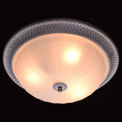 Накладной светильник MW-Light Ариадна 450013603 фото