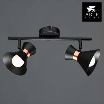 Спот Arte Lamp Baltimore A1406AP-2BK фото