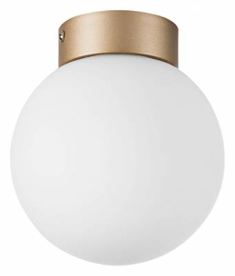 Накладной светильник Lightstar Globo 812013 фото