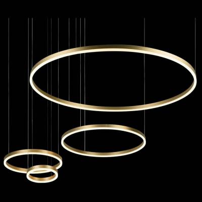 Подвесной светильник Loft it Ring 10017/4M фото