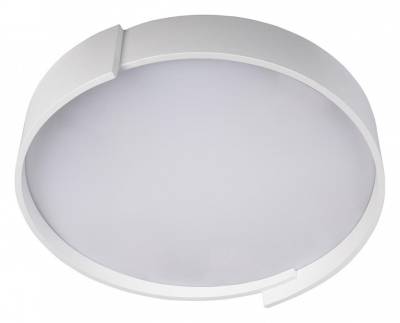 Накладной светильник Loft it Coin 10200 White фото