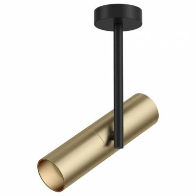 Спот Maytoni Elti C020CL-01GB фото