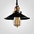 Подвесной светильник Imperiumloft Loft Cone Pendant 74716-22 фото