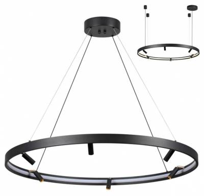 Подвесная люстра Odeon Light Fonda 4317/93L фото