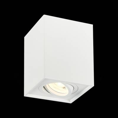 Спот ST-Luce Quadrus ST109.507.01 фото