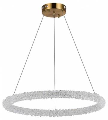 Подвесной светильник ST-Luce Avana SL6110.213.01 фото
