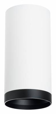 Накладной светильник Lightstar Rullo R64863487 фото