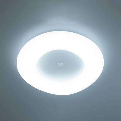 Накладной светильник Citilux Стратус Смарт CL732A800G фото