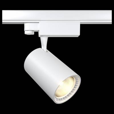 Светильник на штанге Maytoni Vuoro TR029-3-30W3K-W фото