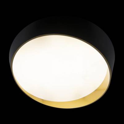 Накладной светильник Loft it Coin 10199 Black фото