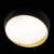Накладной светильник Loft it Coin 10199 Black фото