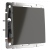 WL07-SW-1G-2W/Выключатель одноклавишный проходной (серо-коричневый) фото