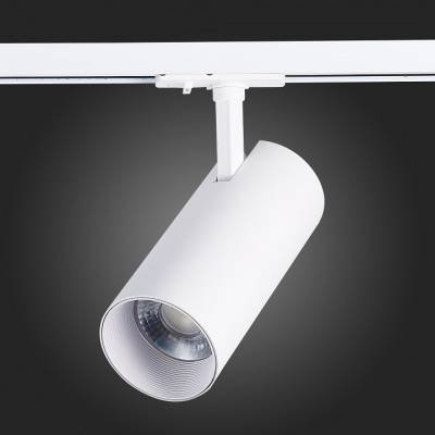 Светильник на штанге ST-Luce Mono ST350.536.30.36 фото